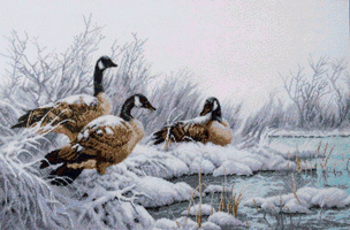 гуси зимой - предпросмотр