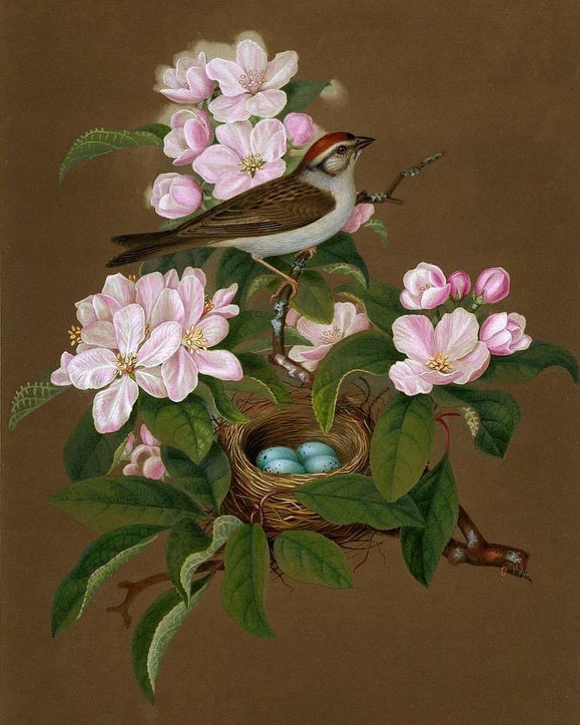 Птичка и гнездо - оригинал