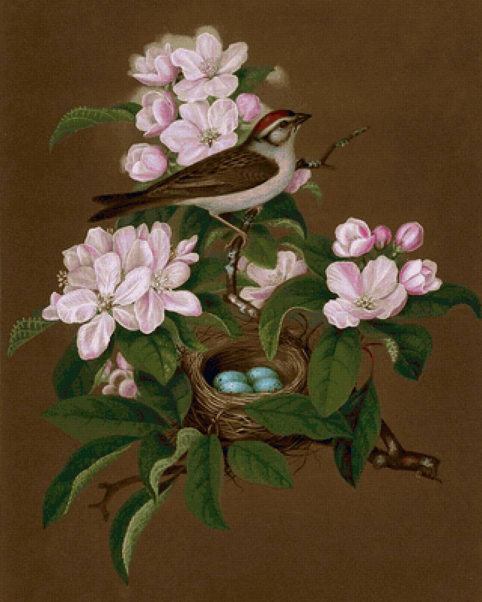 Птичка и гнездо - предпросмотр