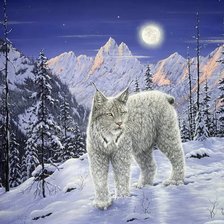 Схема вышивки «рысь в лунном свете»