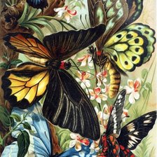 Схема вышивки «maripozas3»