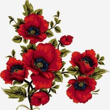 Схема вышивки «Маки»