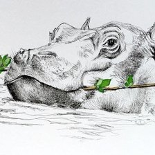 Схема вышивки «hipopótamo»