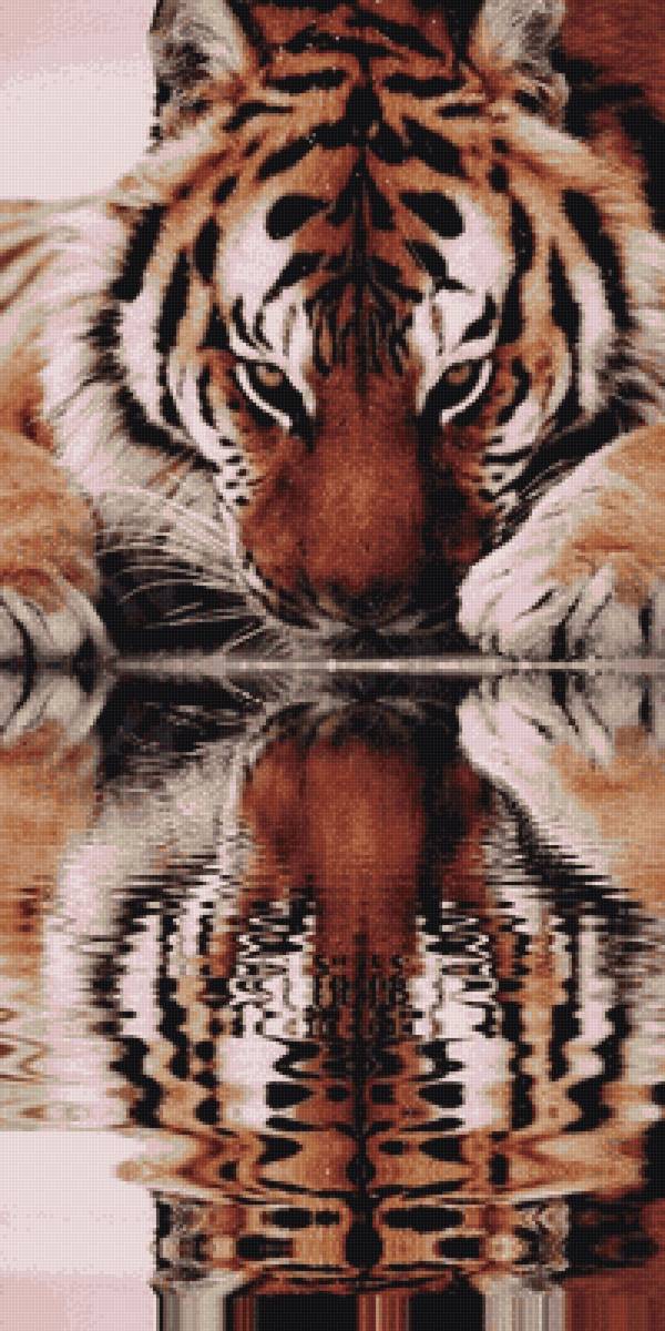 Тигр. Отражение - тигр - предпросмотр