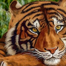 Схема вышивки «№2281651»