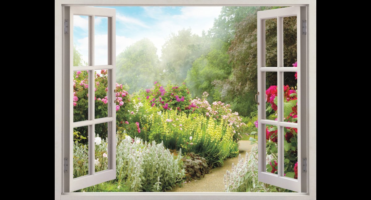 Вид из окна - вид, природа, лето - оригинал