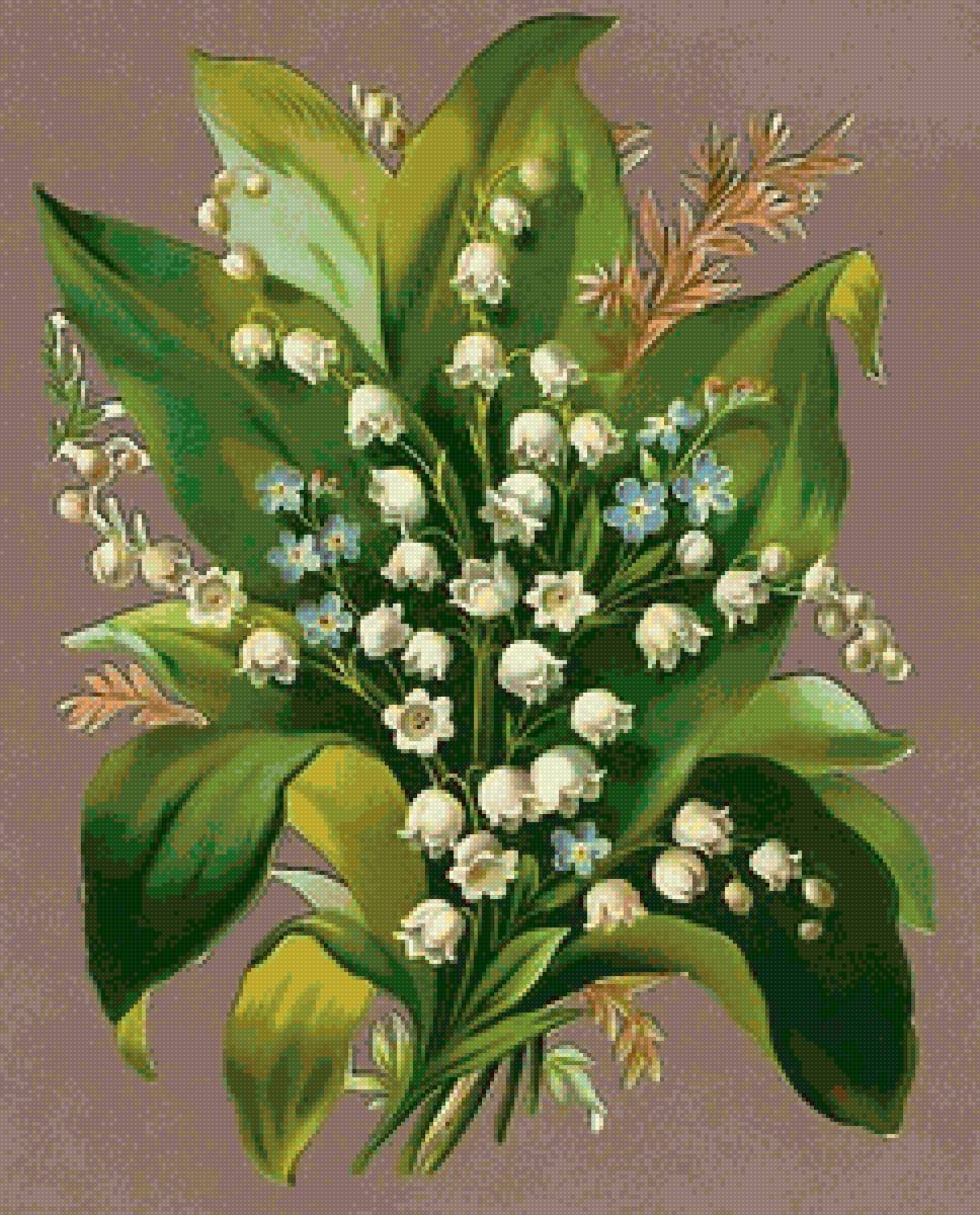 Букет - цветы, натюрморт, красивые, букет - предпросмотр