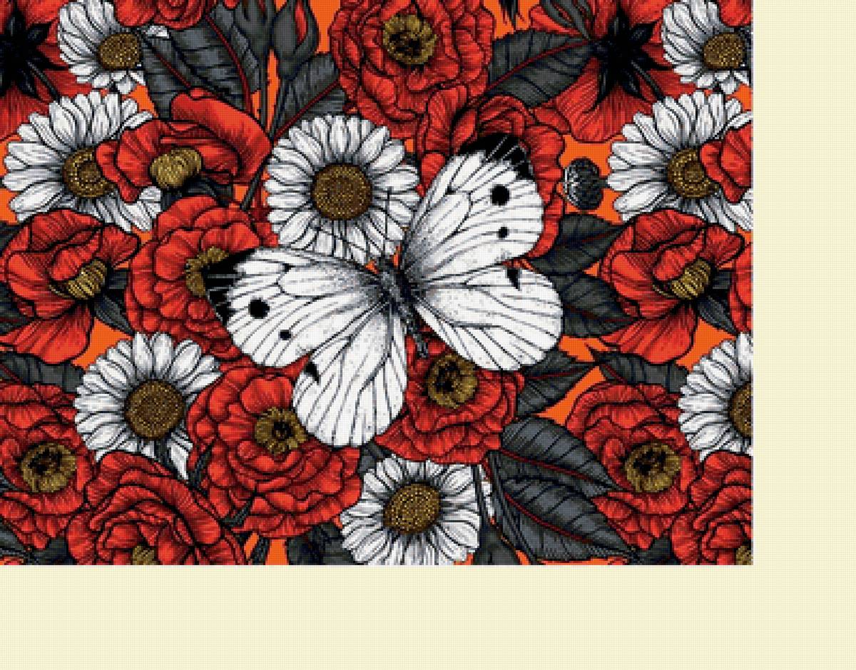 №2282161 - цветы, ромашки - предпросмотр