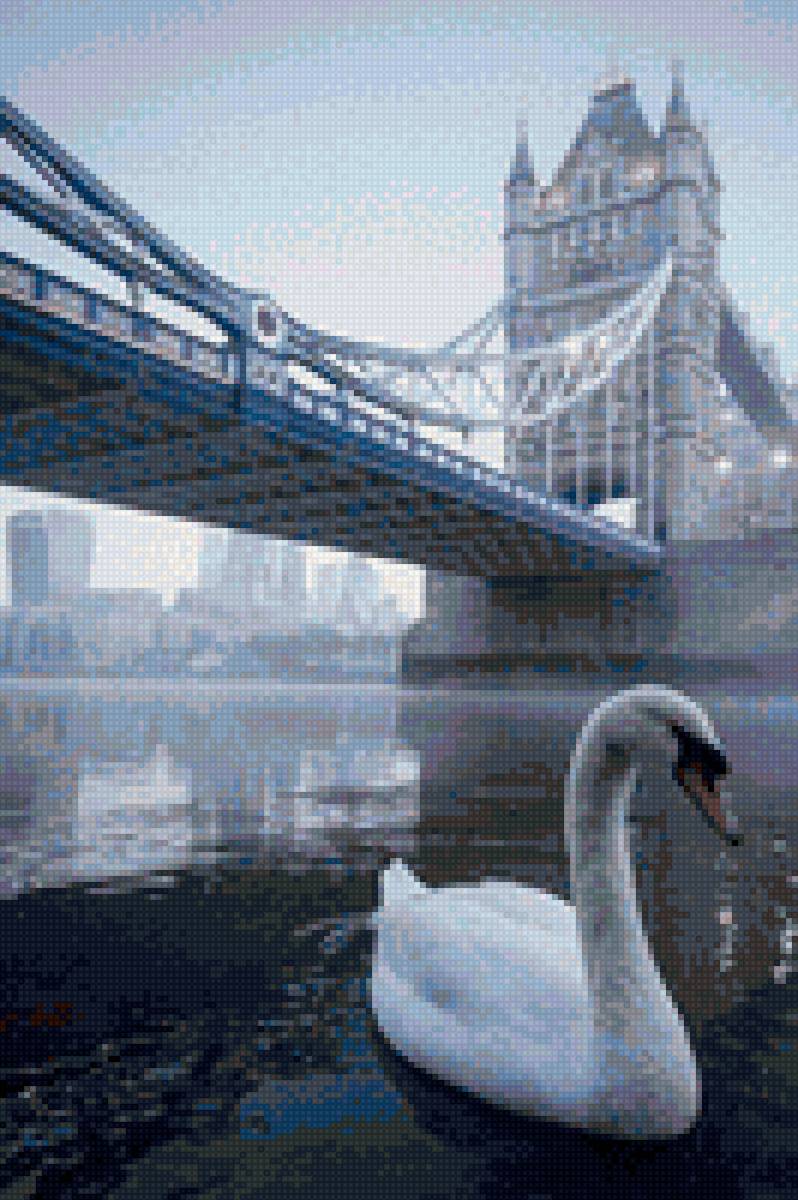 Лебедь в Лондоне - предпросмотр