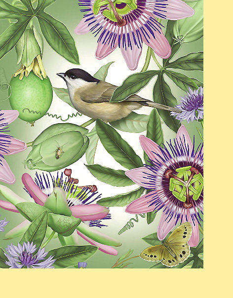 Серия "Флора и фауна". Птичка в пассифлорах - птицы, цветы - оригинал