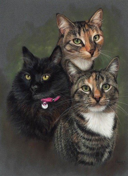 трио - кошка кот котята - оригинал