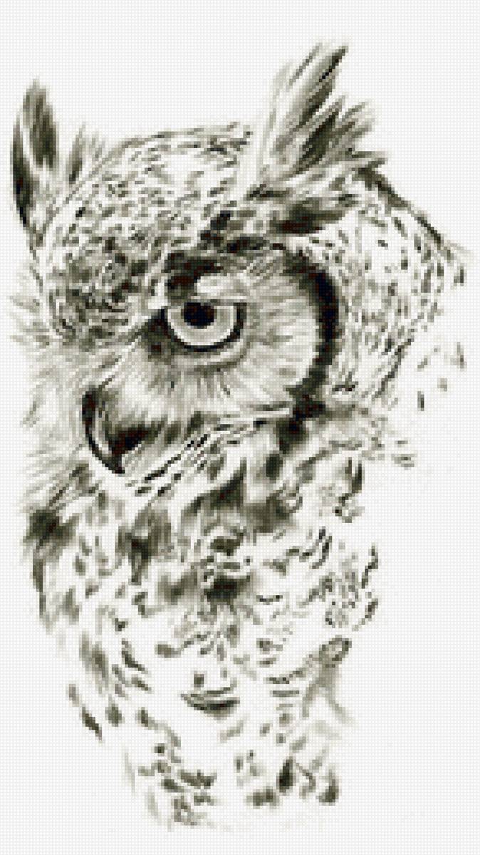 Филин - филин, сова, монохром - предпросмотр