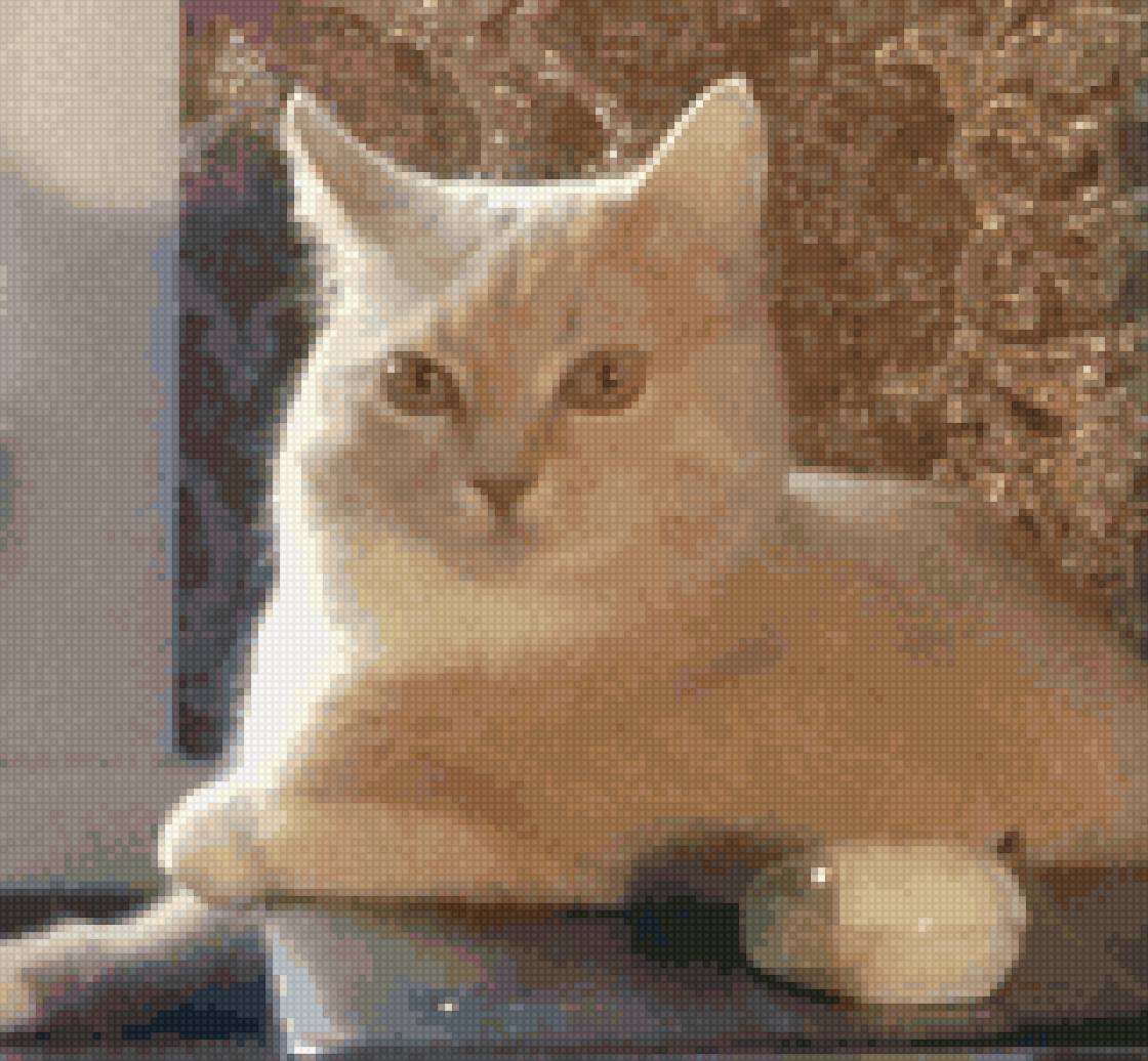 мой персик. - котики - предпросмотр