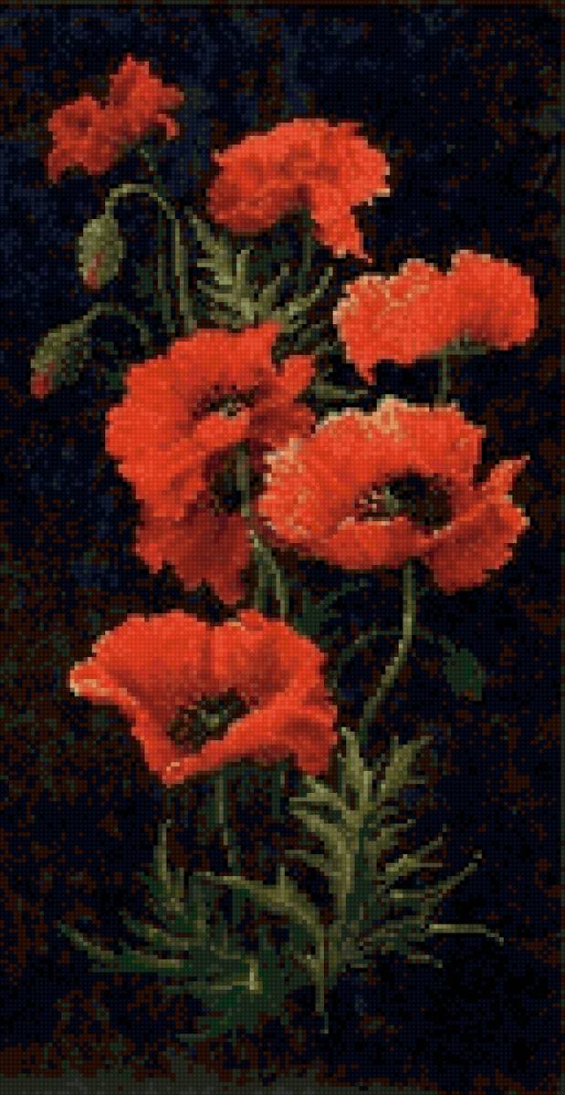 маки на черном - красные маки - предпросмотр