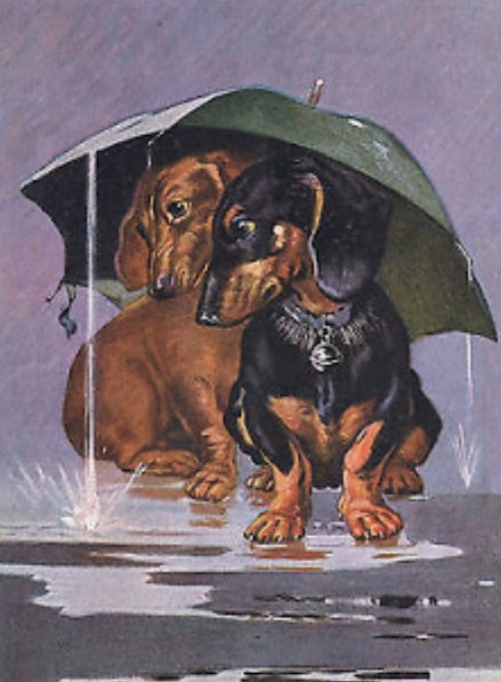 Bajo la lluvia - paisaje - оригинал