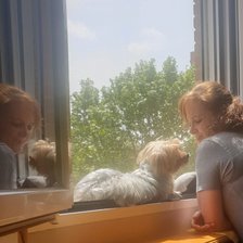 Схема вышивки «Gala»