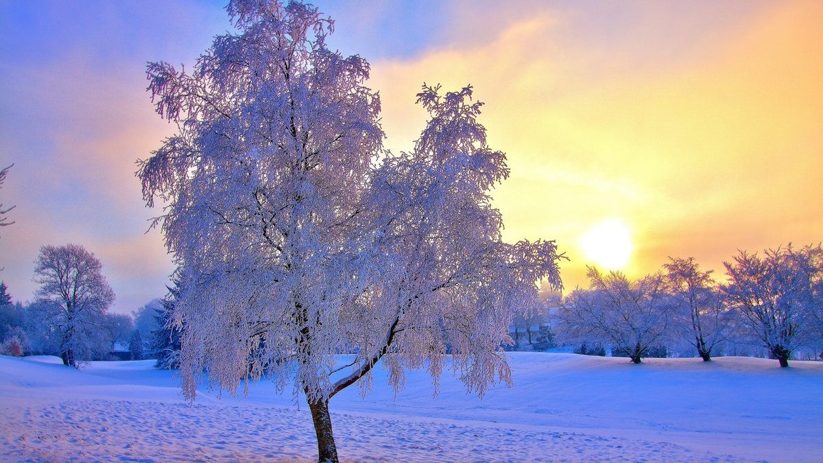 закат - снег, закат, зима - оригинал