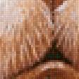 Предпросмотр схемы вышивки «кот» (№2284250)