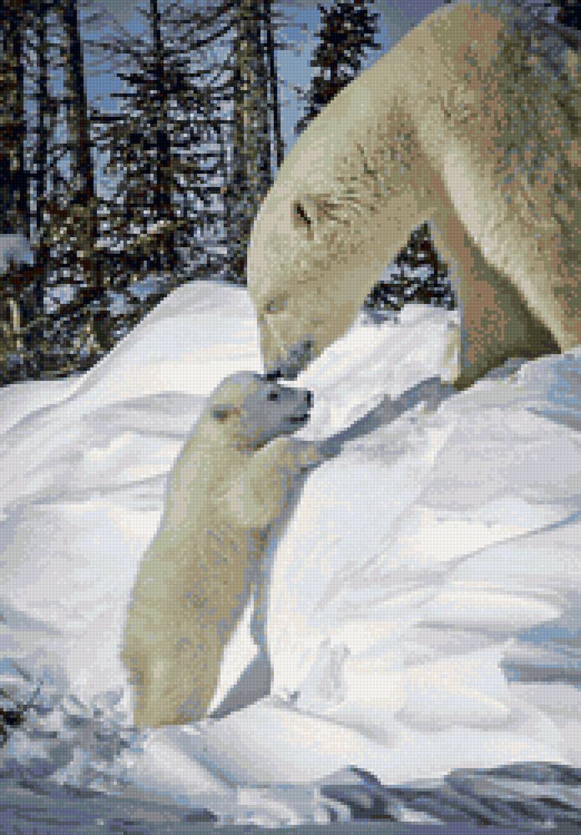 Белые медведи - снег, зима, мама, малыш, медведи - предпросмотр