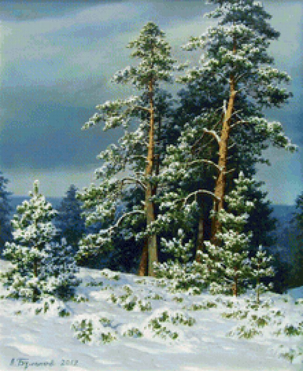 сосны - зима - предпросмотр