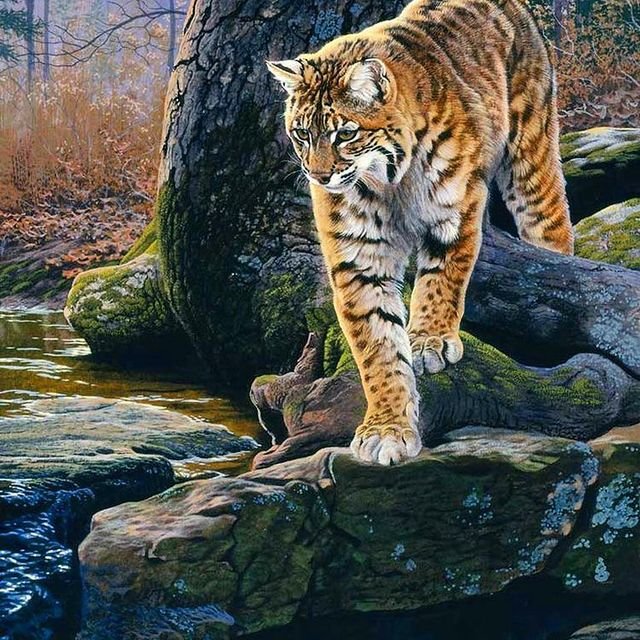 На рыбалке - оригинал