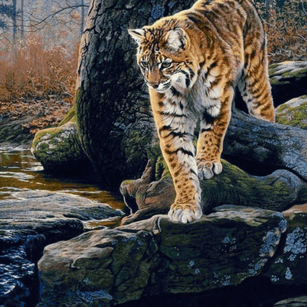 На рыбалке - предпросмотр