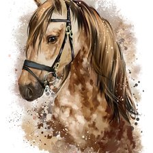 Схема вышивки «Лошадка портрет»