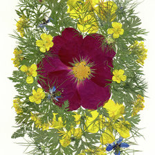 Схема вышивки «№2285370»