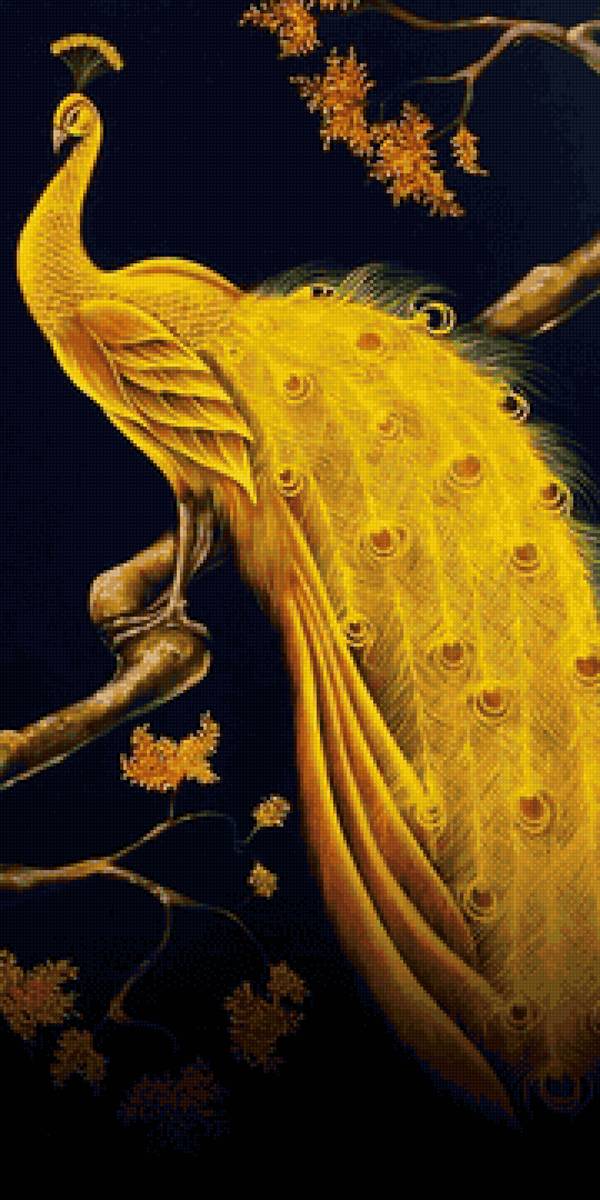 Павлин - предпросмотр