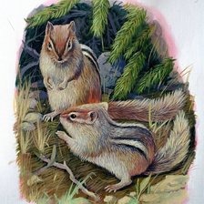 Схема вышивки «Бурундуки»