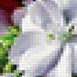 Предпросмотр схемы вышивки «букет» (№2286014)