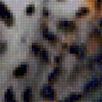 Предпросмотр схемы вышивки «lleopard» (№2286144)