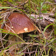 Схема вышивки «=амаскировался»