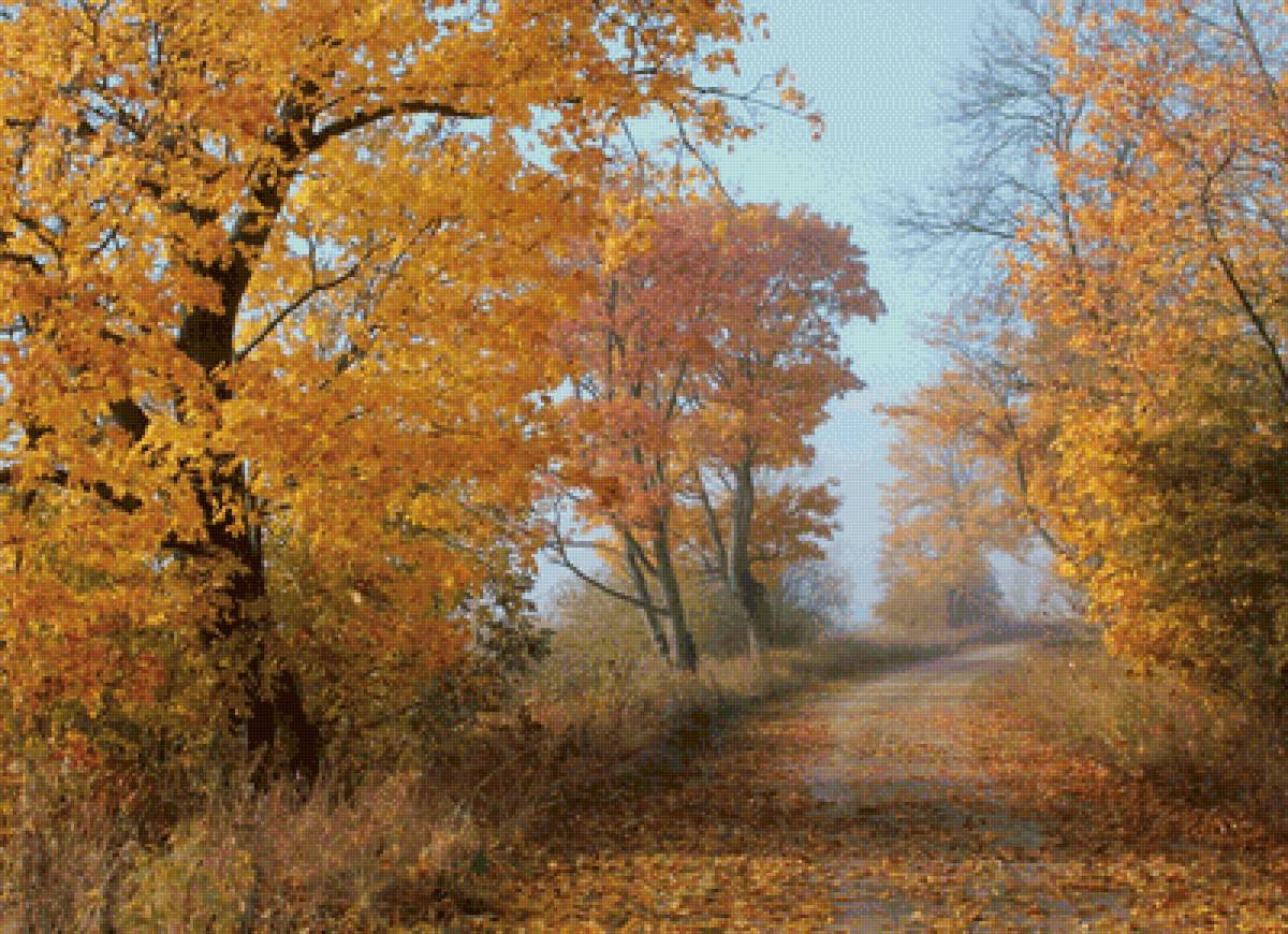 золотая осень - дорога, лес, осень - предпросмотр