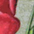 Предпросмотр схемы вышивки «Тюльпаны» (№2287003)