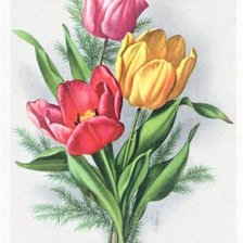 Оригинал схемы вышивки «Тюльпаны» (№2287003)