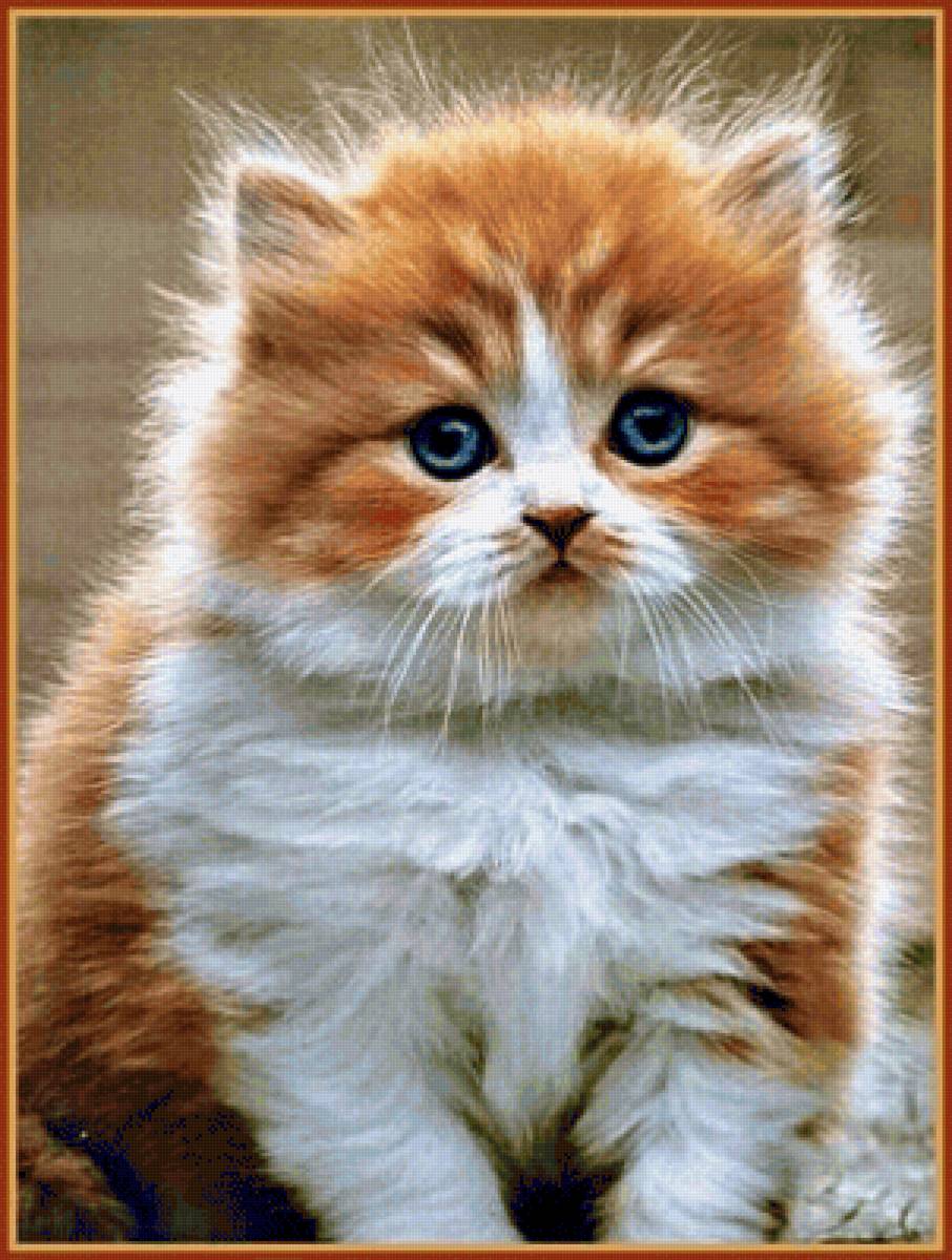 рыжик - животные, кошки, котенок - предпросмотр