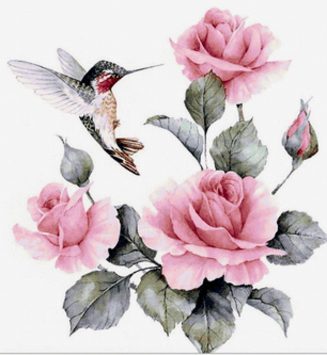 ЦВЕТЫ2 - предпросмотр