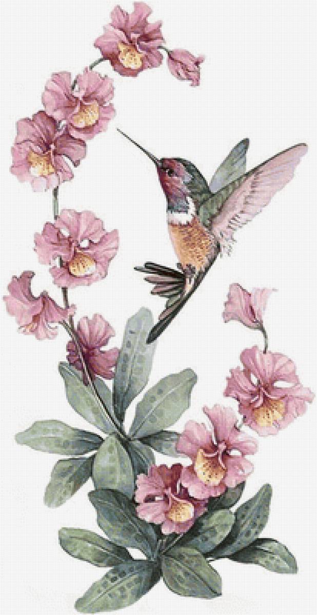 ЦВЕТЫ3 - предпросмотр