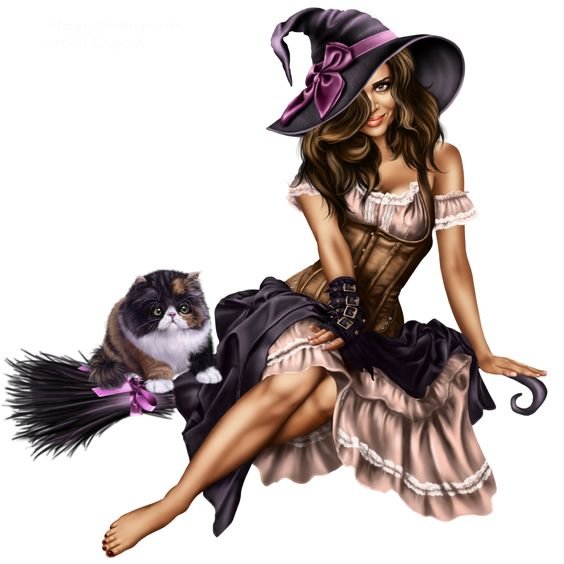 ВЕДЬМОЧКА НА МЕТЛЕ - оригинал