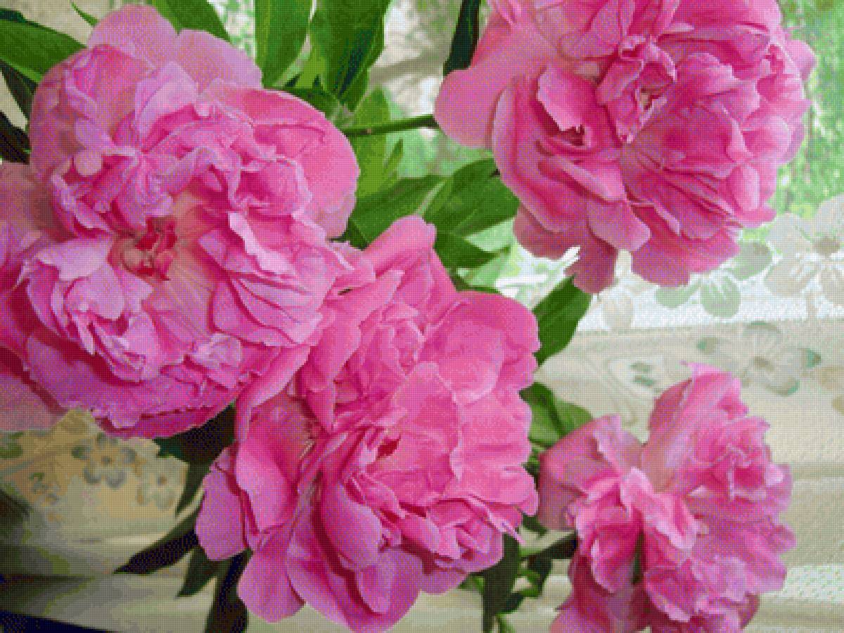 №2287751 - предпросмотр