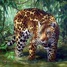 Схема вышивки «Леолард»