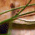 Предпросмотр схемы вышивки «Белый гриб» (№2288380)