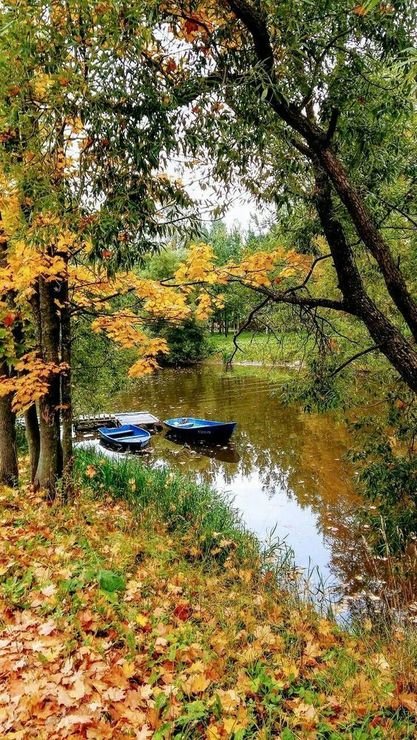 осень - природа, осень, лес, река - оригинал