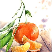 Схема вышивки «Мандарин»