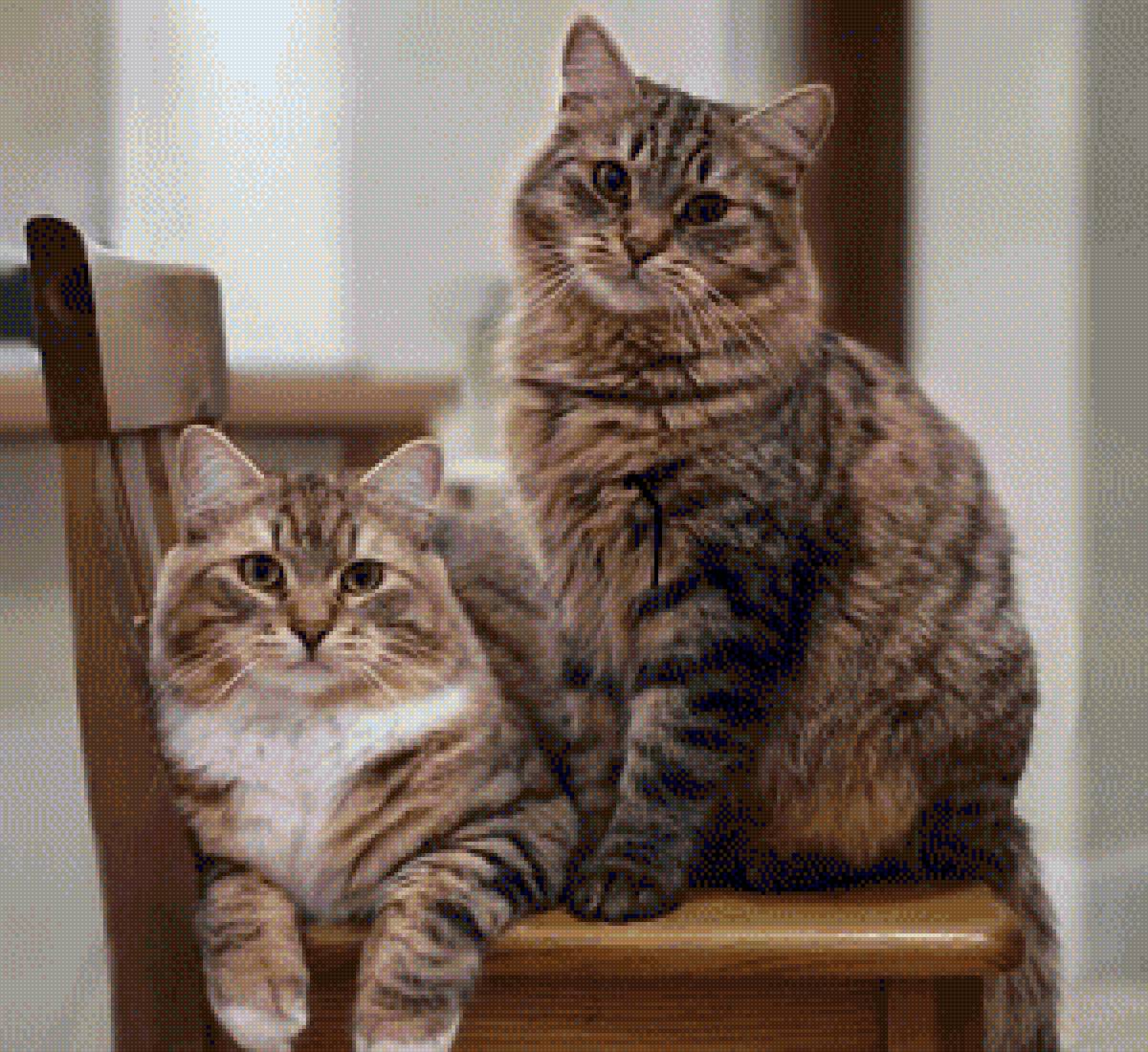 №2288540 - предпросмотр