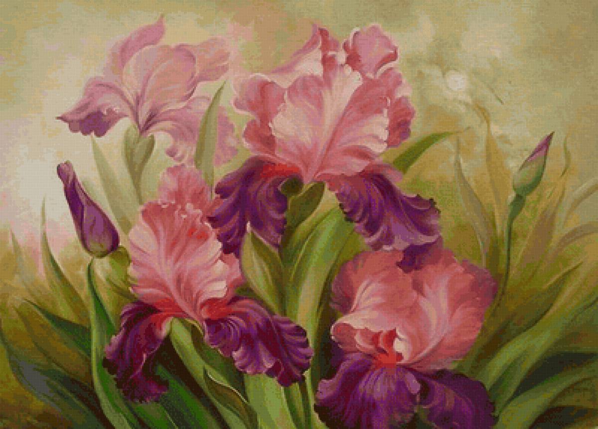 Ирисы - предпросмотр