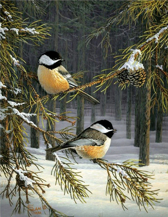 синицы - зима - оригинал
