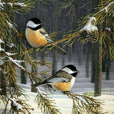 Схема вышивки «синицы»