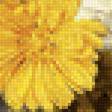 Предпросмотр схемы вышивки «цветы» (№2289224)